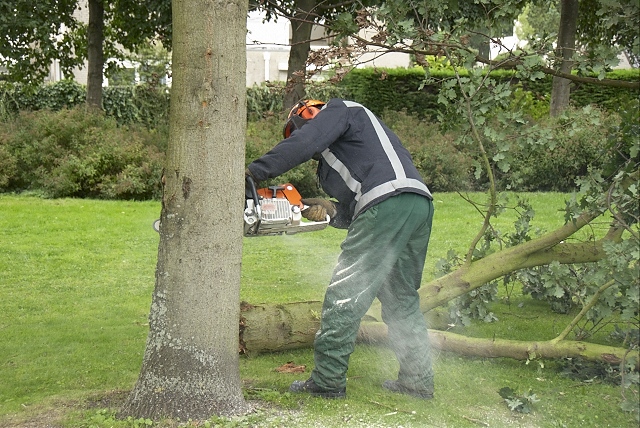 2010/193/GB 20100815 017 Stormschade Pieter Christiaanhof.jpg